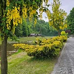 Zacisze Centrum 25m2 * Шавница